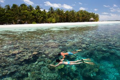 two people snorkeling in the ocean , with palm trees in the background and clear water on the shore at Vilamendhoo Island Resort & Spa