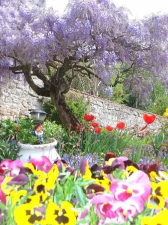 Hôtel de La Ferté Отели рядом с достопримечательностью «Wagner Oenologic»