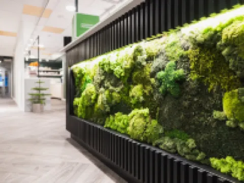 GreenStar Hotel Vaasa Hotels in Vaasa