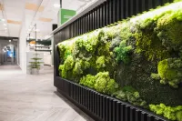 GreenStar Hotel Vaasa Hotels in Vaasa