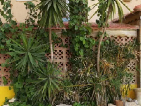 Mariam Hotel Hotels in Madaba