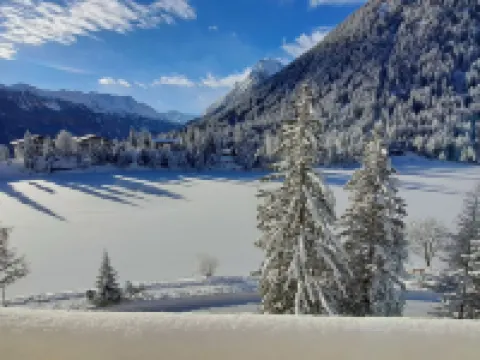 Alpes et Lac 40 奧西埃酒店