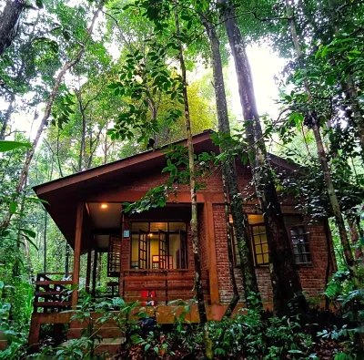 Permai Rainforest Resort