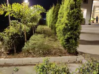 Novanta Jamshedpur Hotels near Bin