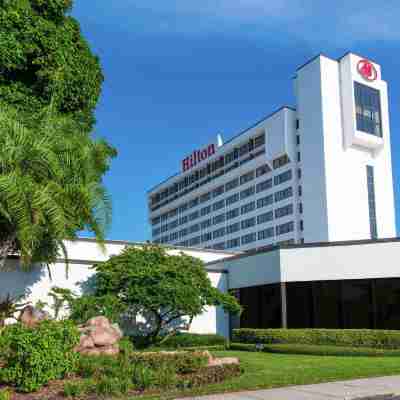 Hilton Tampa Airport Westshore Hotel Exterior