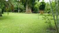 Sdd Bamboo Village Resort Hotel a Cooch Behar