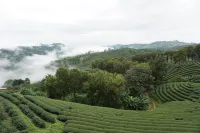 101 Tea Green View