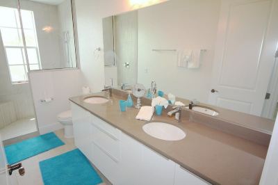 Other Ponce de Leon Photo