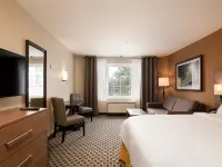 Holiday Inn Express & Suites TREMBLANT by IHG Hotels in Les Laurentides Regional County Municipality