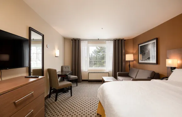 特朗布朗特智選假日套房酒店