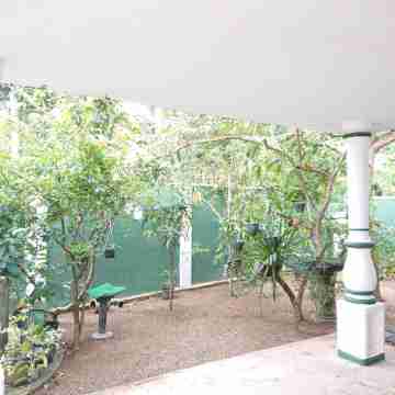 More Attractive Wonderful 1950 Mid-Century Home with Another Newly Built House Hotel Exterior