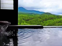 Ohtama Resort Hills Hotel Hotels in Otama