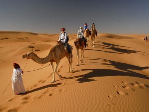 Golden Desert Camp