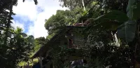Ella Nature Nest