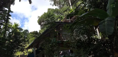 Ella Nature Nest