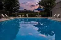 SpringHill Suites Atlanta Perimeter Center Hotels in Sandy Springs