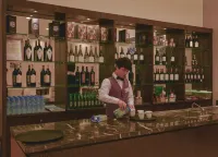 Aristo International Hotel - bar