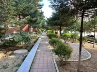 Mengxiaomang Homestay - Wifi