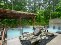 Hotels in Forest Waldberg - Hot Springs