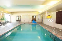 Hilton Garden Inn Evansville - Pools