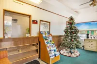 OYO Hotel North Lima Oh - Boardman Hotels in Beaver Township