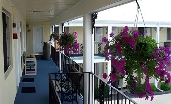 Cape Cod Inn