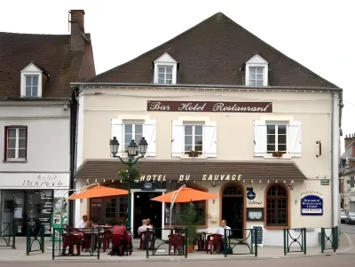 Au Sauvage Hotels in der Nähe von Schloss Sully-sur-Loire