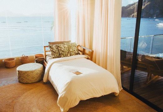 프랜지파니 엘니도