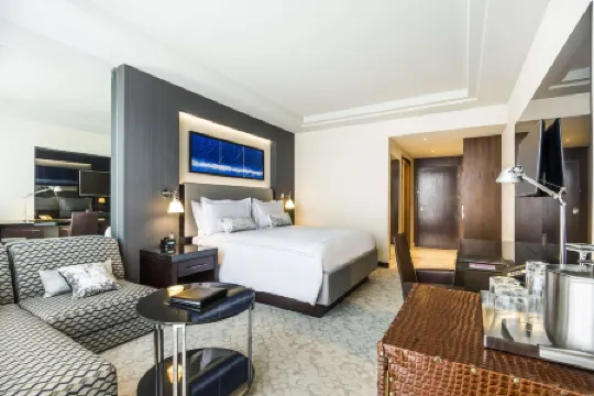 聖路易波託西凱悦酒店