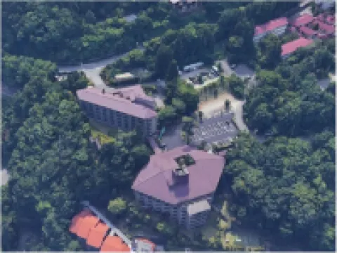 箱根綠意森林 住宿飯店