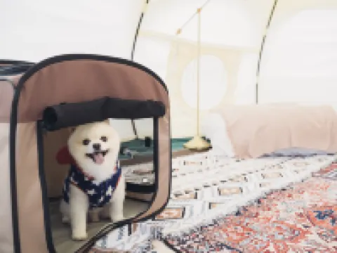 Kujuhanakoen Campingresort Hanatohoshi