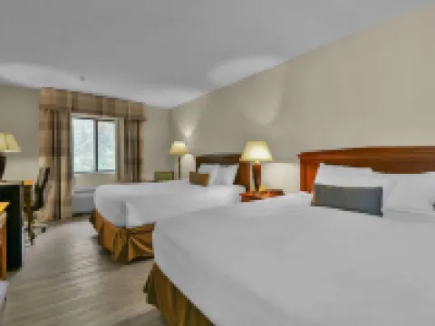 曾斯維爾温德姆唄盟酒店 馬斯金格姆縣酒店