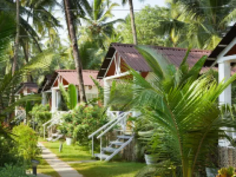 Beachfront Bliss Hotels in Canacona