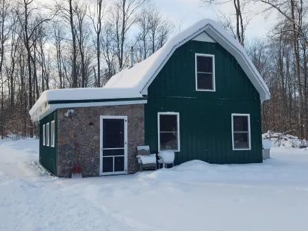 Petoskey - Enjoy the great outdoors from the Cozy and peaceful cabin!
