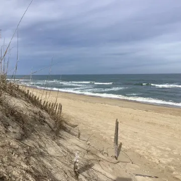 Oceanfront Condo!  Seawalk Retreat - Oceanfront views and immediate beach access