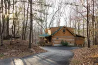 Family Escape w/ Hottub Near PF Hotels near Moonshine Ridge Country Store & Cafe