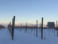 Anam Cara Vineyard. Romantic Vineyard Cottage with sweeping views