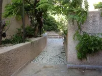 Les Oliviers de la Romarine