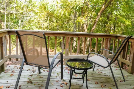 Dressed for the Holidays!