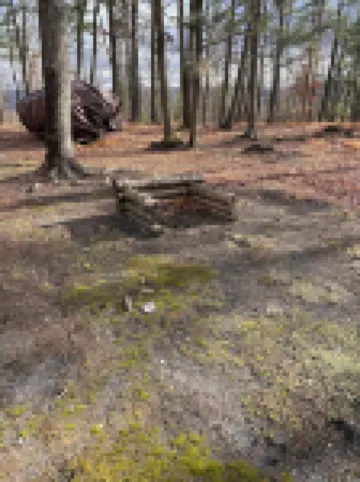 Cute and Cozy Cottage just 10 miles north of State College, PA!