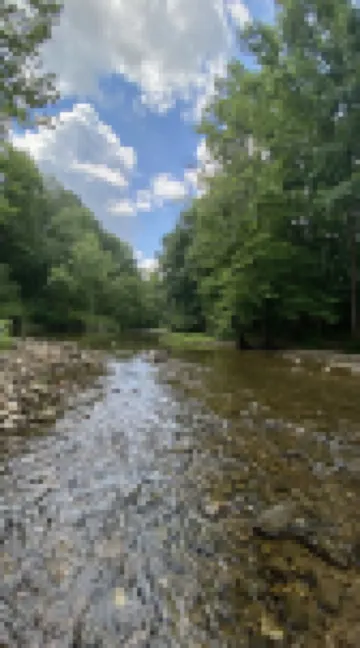 Whispering Pines Cabin near beautiful Lake Ouachita