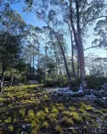 Cosy water view cabin in amongst the pristene wilderness of Central Highlands Hotels in Cradle Mountain