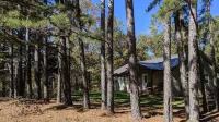 Whispering Pines in the Country on 40 Acres