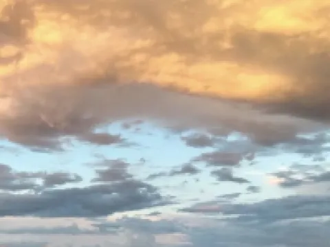 Ranchito Paraiso: Artsy Farm Stay in the Desert Hotels in Benson