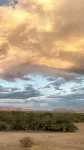 Ranchito Paraiso: Pet-friendly Oasis in the Desert