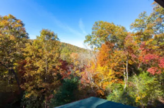 Mountain Forest Cabin w/ Therapeutic SPA Jacuzzi/Pool table/Gameroom Lic #033262