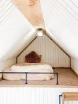 Cozy cabin in serene natural setting. Rustic charm with modern amenities!