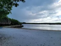 Fully furnished tiny house with loft just minutes from the beach