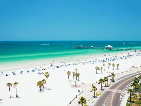 Up to 10 guests - Just min to Clearwater Beach & Indian Rocks Beach