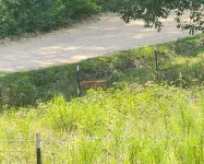 1-bedroom house with coutry side appeal, 10 min from town with AC/heat, WiFi